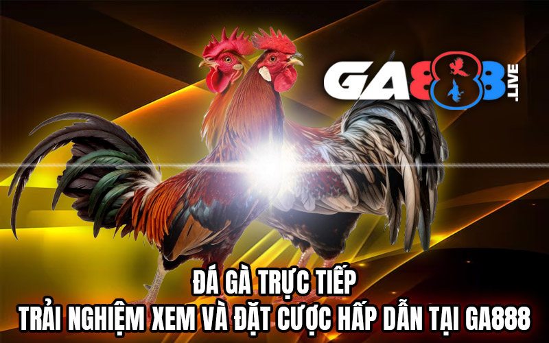 Đá Gà Trực Tiếp - Trải Nghiệm Xem Và Đặt Cược Hấp Dẫn Tại GA888