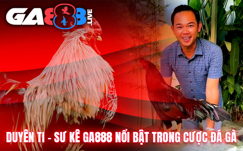 Duyên Ti - Sư Kê GA888 Nổi Bật Trong Cược Đá Gà