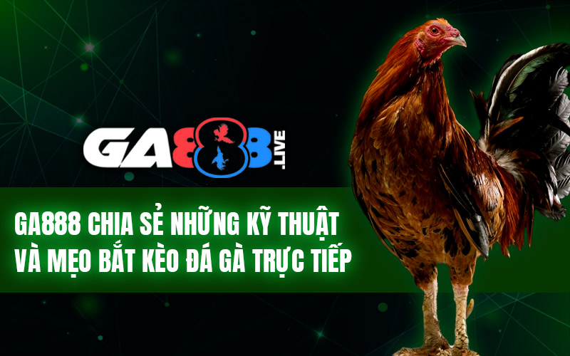 GA888 chia sẻ những kỹ thuật và mẹo bắt kèo đá gà trực tiếp