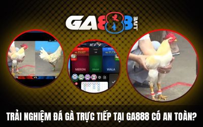 Trải nghiệm đá gà trực tiếp tại GA888 có an toàn?