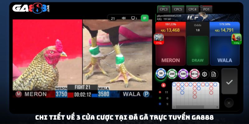 Chi tiết về 3 cửa cược tại đá gà trực tuyến GA888