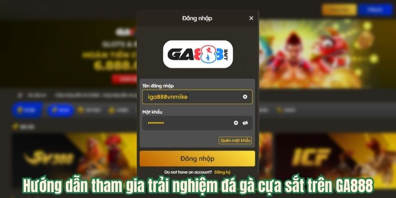 Hướng dẫn tham gia trải nghiệm đá gà cựa sắt trên GA888