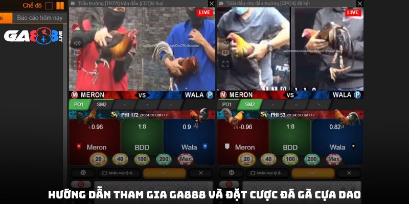 Hướng dẫn tham gia GA888 và đặt cược đá gà cựa dao