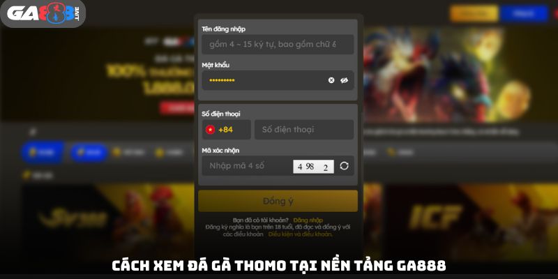 Cách xem đá gà Thomo tại nền tảng GA888