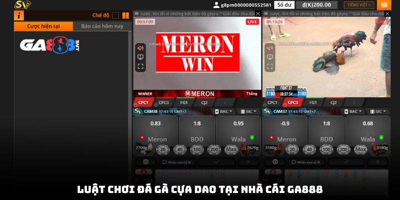 Luật chơi đá gà cựa dao tại nhà cái GA888
