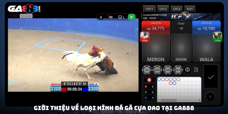 Giới thiệu về loại hình đá gà cựa dao tại GA888