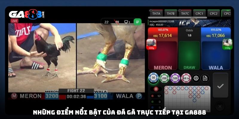 Những điểm nổi bật của đá gà trực tiếp tại GA888