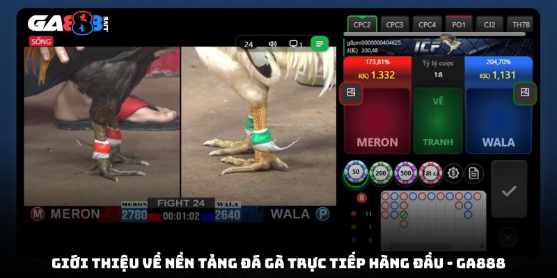 Giới thiệu về nền tảng đá gà trực tiếp hàng đầu - GA888
