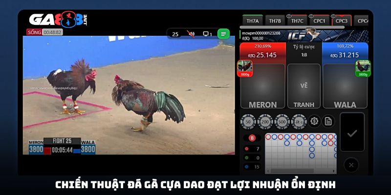 Chiến thuật đá gà cựa dao đạt lợi nhuận ổn định