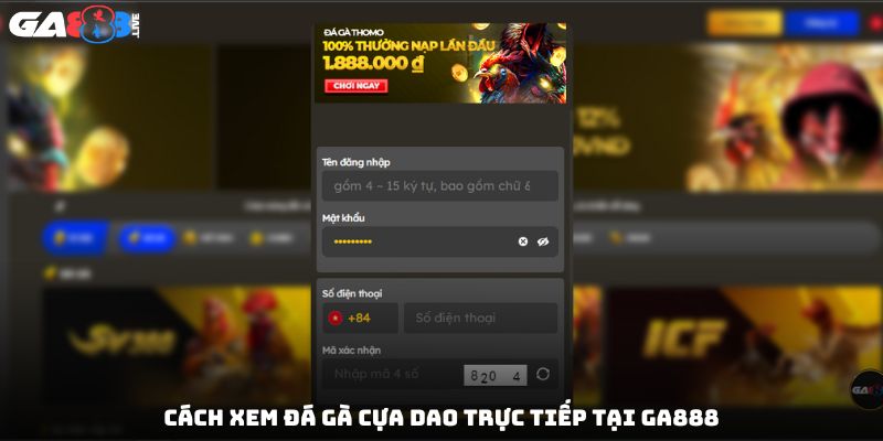 Cách xem đá gà cựa dao trực tiếp tại GA888