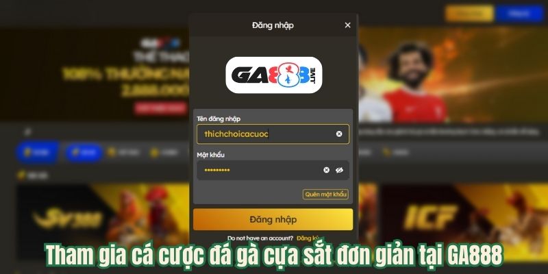 Tham gia cá cược đá gà cựa sắt đơn giản tại GA888