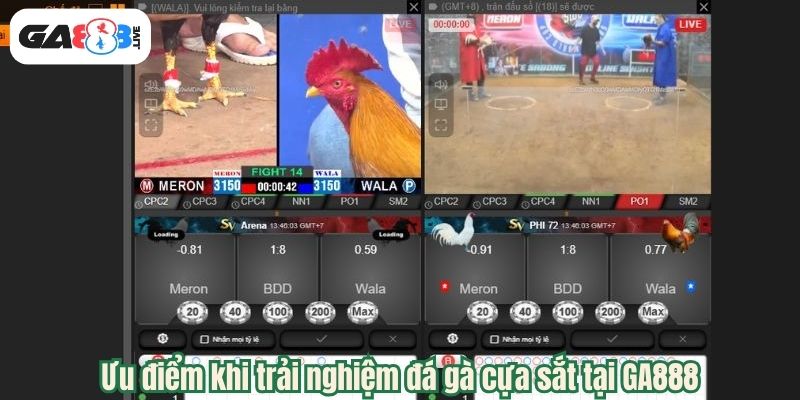 Ưu điểm khi trải nghiệm đá gà cựa sắt tại GA888