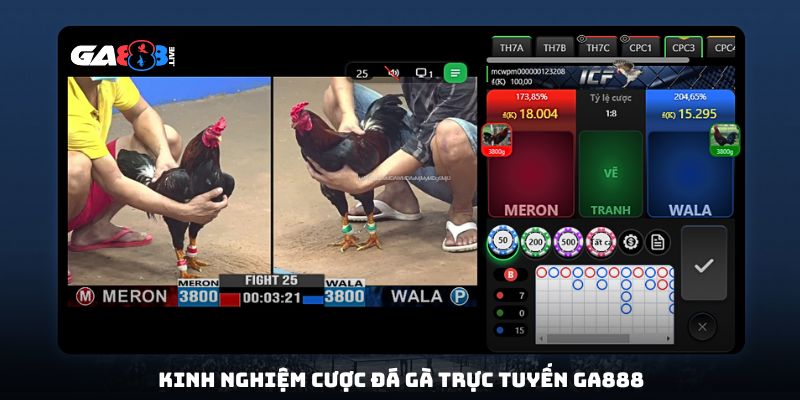 Kinh nghiệm cược đá gà trực tuyến GA888