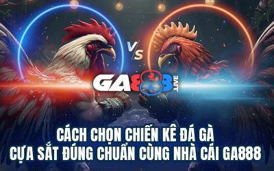 Cách Chọn Chiến Kê Đá Gà Cựa Sắt Đúng Chuẩn Cùng Nhà Cái GA888