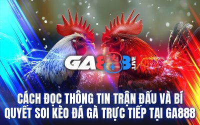 Cách đọc thông tin trận đấu và bí quyết soi kèo đá gà trực tiếp tại GA888