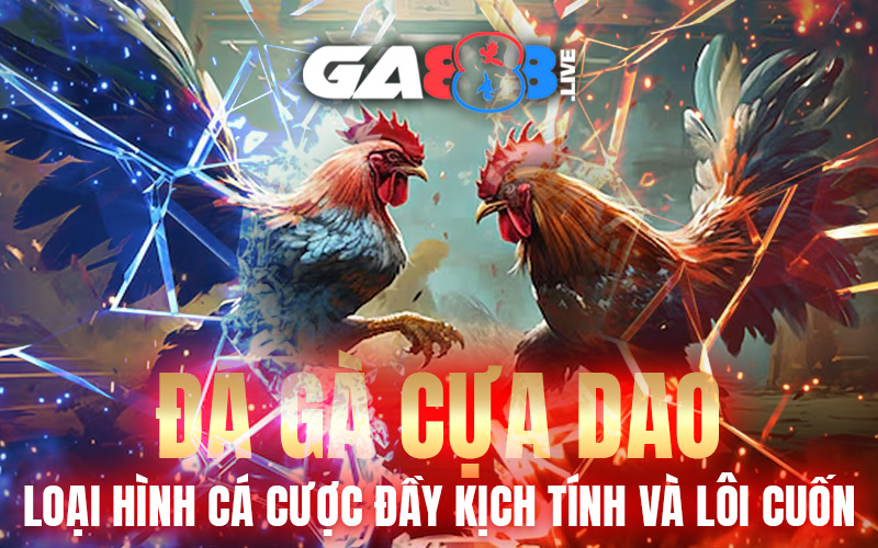 Đá Gà Cựa Dao – Loại Hình Cá Cược Đầy Kịch Tính Và Lôi Cuốn