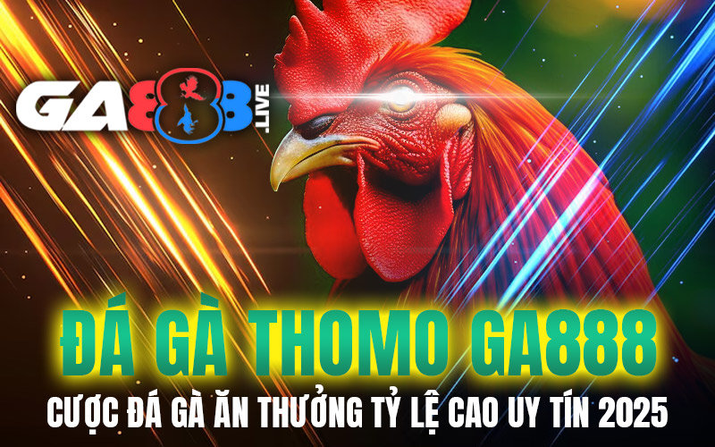 Đá Gà Thomo GA888 – Cược Đá Gà Ăn Thưởng Tỷ Lệ Cao Uy Tín 2025