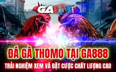 Đá Gà Thomo Tại GA888 – Trải Nghiệm Xem Và Đặt Cược Chất Lượng Cao