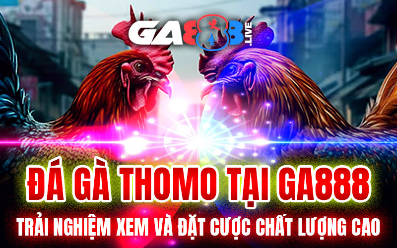 Đá Gà Thomo Tại GA888 – Trải Nghiệm Xem Và Đặt Cược Chất Lượng Cao