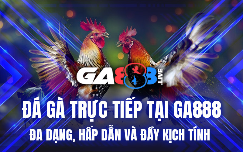 Đá Gà Trực Tiếp Tại GA888 – Đa Dạng, Hấp Dẫn Và Đầy Kịch Tính
