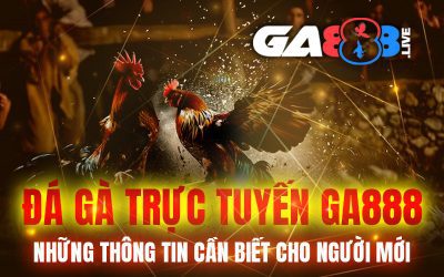 Đá Gà Trực Tuyến GA888 – Những Thông Tin Cần Biết Cho Người Mới