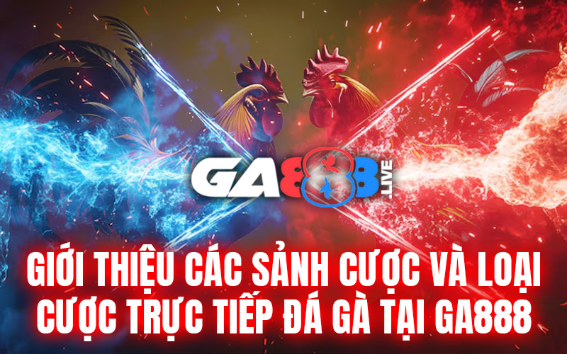 Giới thiệu các sảnh cược và loại cược trực tiếp đá gà tại GA888