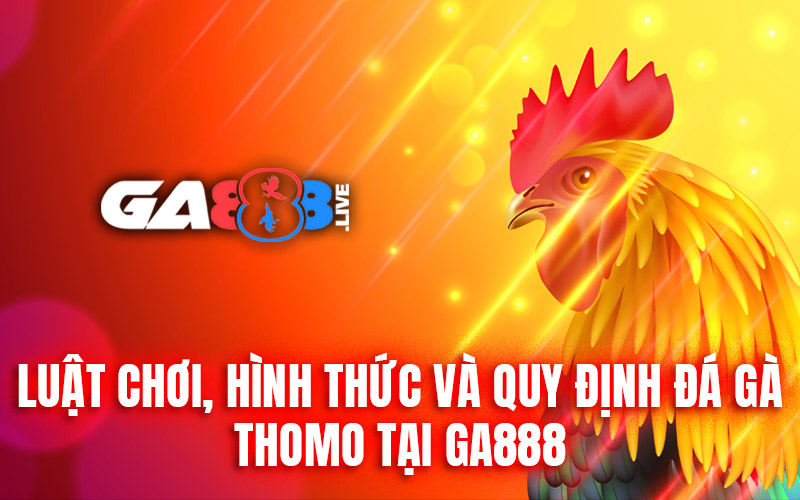 Luật chơi, hình thức và quy định đá gà Thomo tại GA888