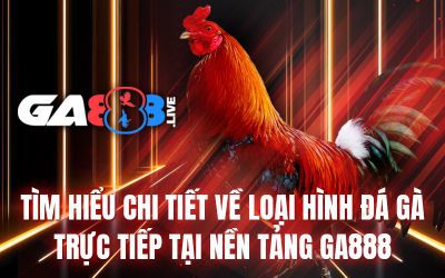 Tìm Hiểu Chi Tiết Về Loại Hình Đá Gà Trực Tiếp Tại Nền Tảng GA888