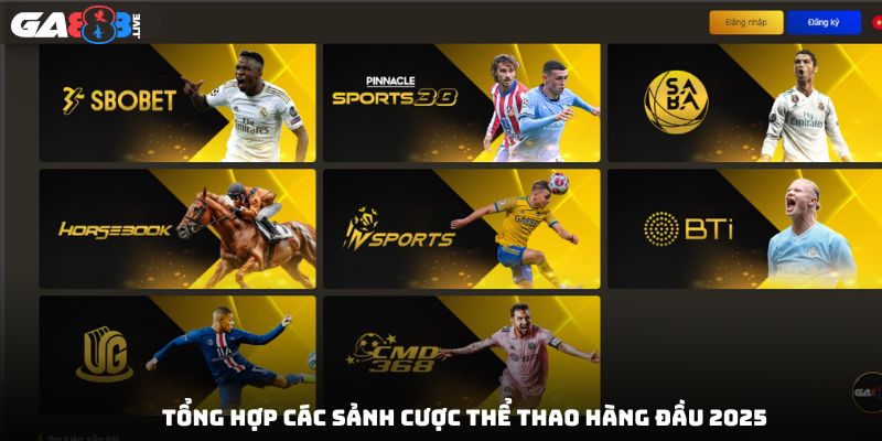 Tổng hợp các sảnh cược thể thao hàng đầu 2025