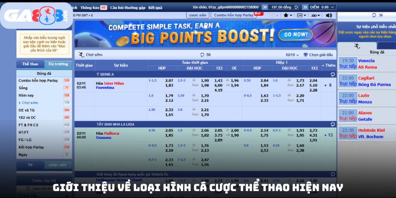 Giới thiệu về loại hình cá cược thể thao hiện nay