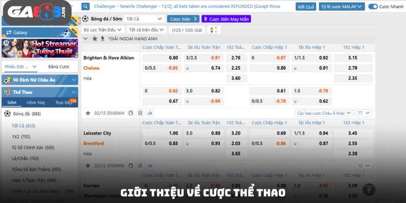 Giới thiệu về cược thể thao