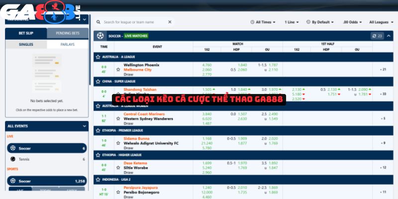 Các loại kèo cá cược thể thao tại GA888