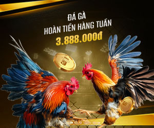 Hoàn tiền 3.88% hàng tuần tại Đá Gà 3.888.000 VND