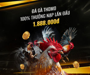 Đá Gà Gửi Tiền Lần Đầu: 100% lên đến 1.888.000 VND