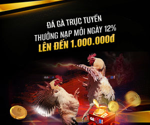 Thưởng nạp lại 12% mỗi ngày tại đá gà lên đến 1.000.000 VND